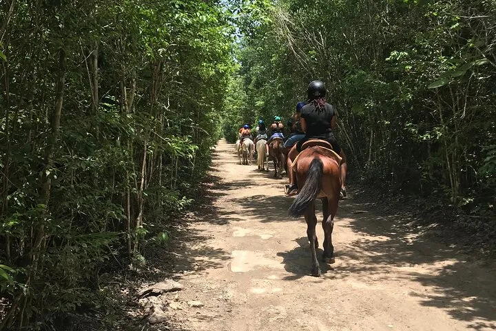Horseback Riding plus ATV, Cenote, Ziplines, and Lunch in Riviera Maya, Mexico