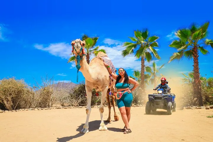 Cabo ATV Tour, Camel Ride with Tequila and Mexican Buffet Lunch in Los Cabos, Mexico